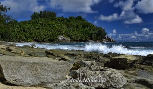 Corail et Granit les deux socles des Seychelles 