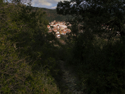 Un chemin dans la lumière d'hiver