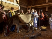 Au soleil couchant, la crèche vivante, sous le beau ciel de Catalogne