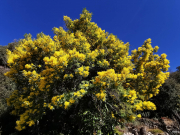 Les contrastes de nos régions