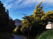 La petite route qui mène à notre village