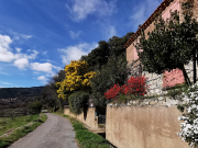 Le chemin de la belle vie...