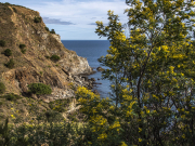 Eclats de soleil, même par temps nuageux