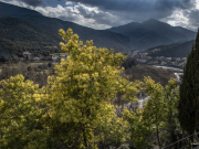 Les contrastes lumineux de l'hiver à Palalda