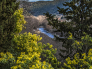 Un fenêtre ouverte sur le Tech et le massif des Albères