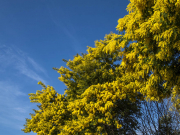 Des arches de pierres et de fleurs