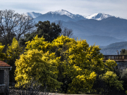 Depuis le Pont du Diable de Ceret