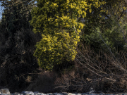 Reflets d'or dans le Tech