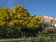 Le Roi de l'hiver règne sur Palalda