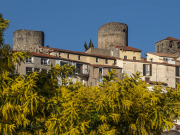 Un clocher bien gardé