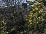 Le clocher de Serrabonne