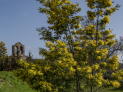 Sérénité au soleil