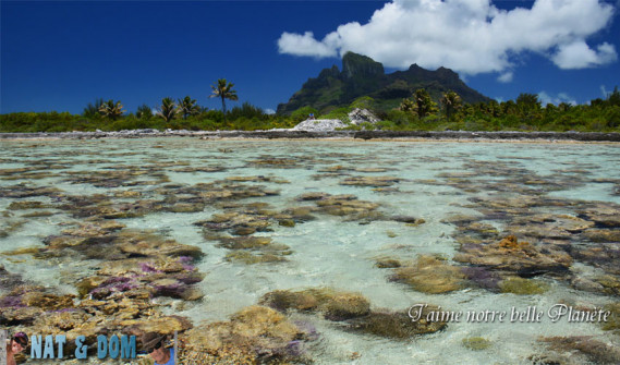 Couleurs lagon de Bora Bora