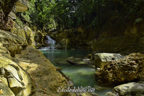 bohol-_-riviere-loboc_grottes-de-hinagdanan-3-jpg