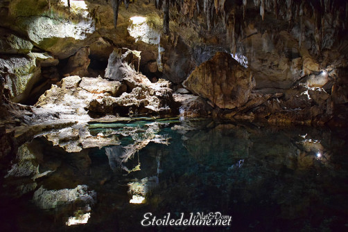 bohol-_-riviere-loboc_grottes-de-hinagdanan-33-jpg