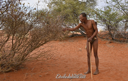 namibie-peuple-san-chasseurs-cueilleurs-5