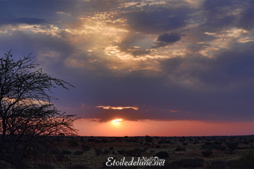 bagatelle-ranch-game-drive-sunset-1
