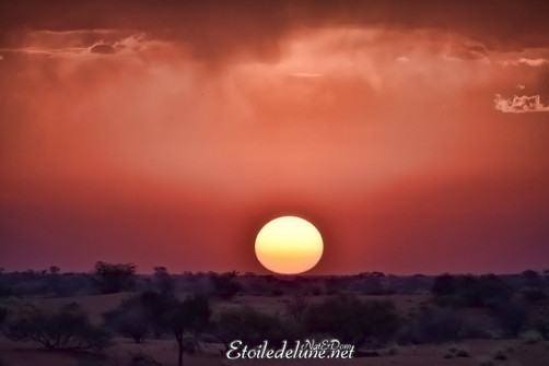 bagatelle-ranch-game-drive-sunset-3