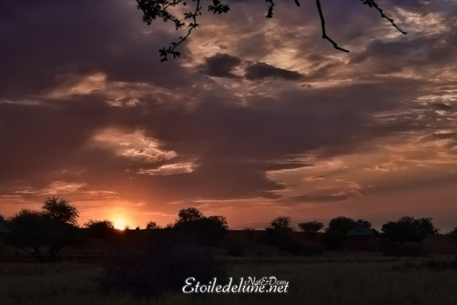 bagatelle-ranch-game-drive-sunset-5