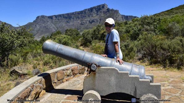 Afrique du Sud Table Mountain Cape Town_NAT9438