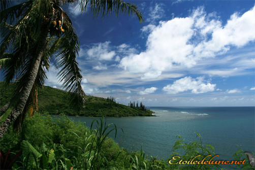 image_nouvelle_caledonie_touhu (7)