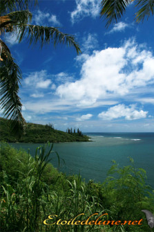 image_nouvelle_caledonie_touhu (8)