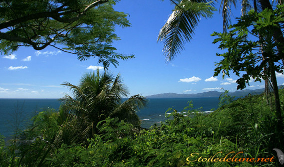 image_nouvelle_caledonie_touhu (9)