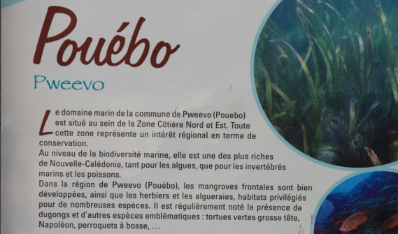 image_nouvelle_caledonie_puebo (4)