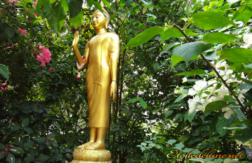 image_Bangkok_Wat saket_golden mont (9)