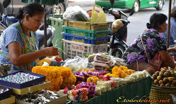 image_autour du Chao Praya (27)
