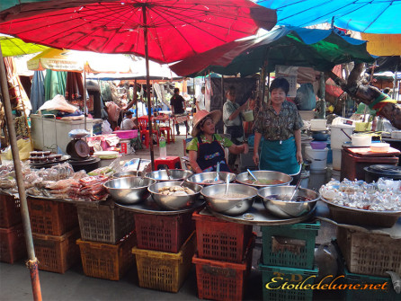 image_autour du Chao Praya (37)