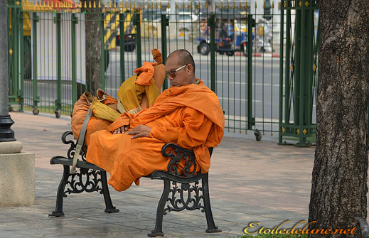 image_autour du Chao Praya (5)