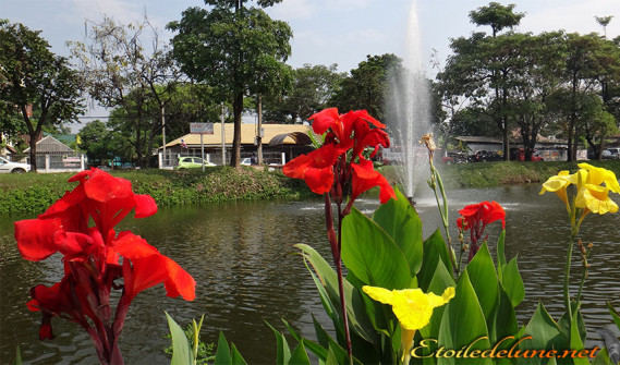 image_Chiang Mai_by Quiet (4)
