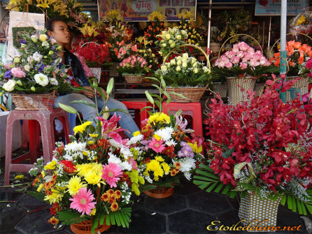 Phnom Penh marche au fleur (3)