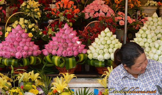 Phnom Penh marche au fleur (6)