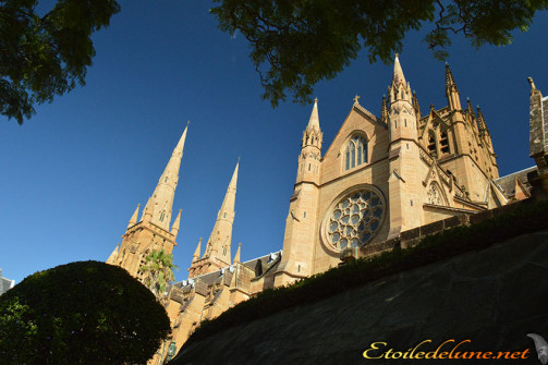 Sydney_CATHEDRALE
