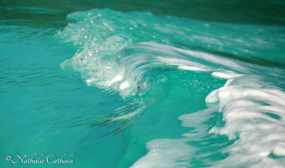 Reflets de Bora Bora (17)