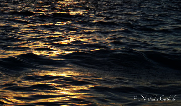 Reflets de Bora Bora (22)