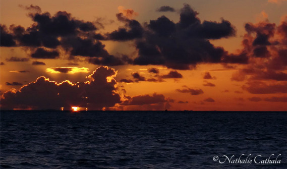 Reflets de Bora Bora (26)