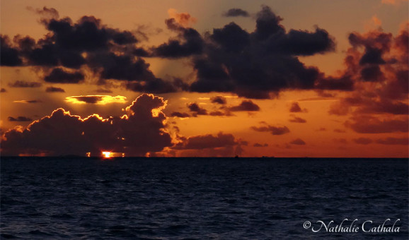 Reflets de Bora Bora (26)