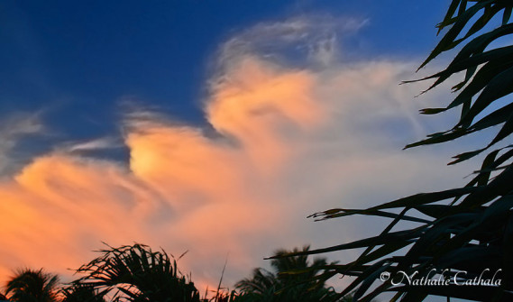 Reflets de Bora Bora (6)