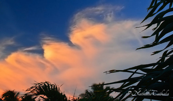 Reflets de Bora Bora (6)