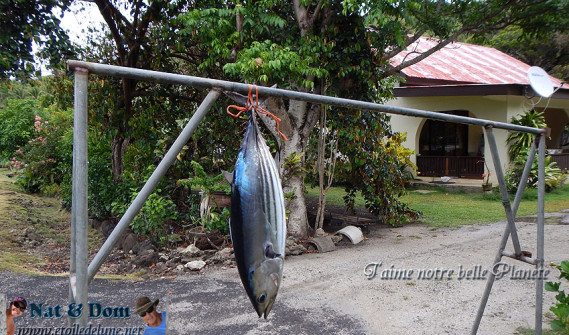 Bora Bora vente locale de poisson