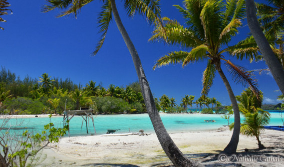 Couleurs lagon de Bora Bora