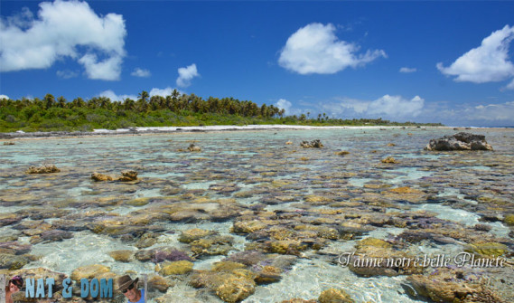 Couleurs lagon de Bora Bora