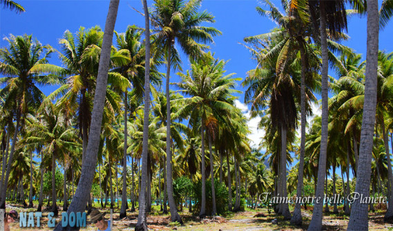Couleurs lagon de Bora Bora