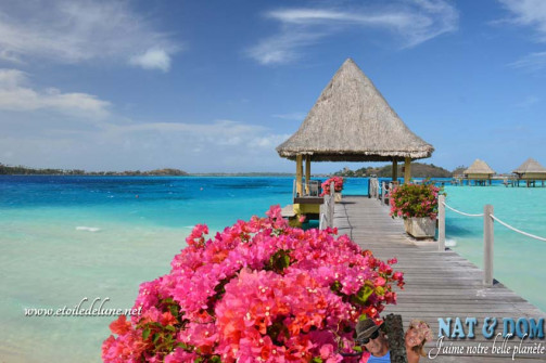 bora-bora-septembre-a-decembre-2013-17