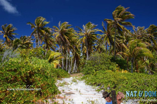 bora-bora-septembre-a-decembre-2013-23