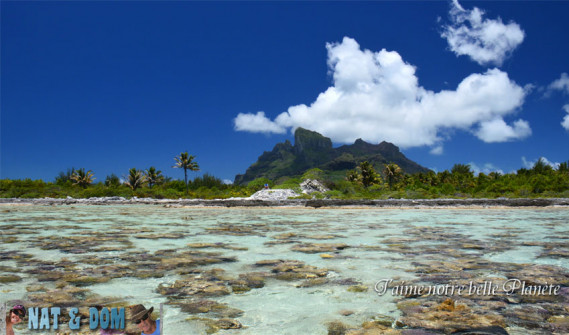 bora-bora-septembre-a-decembre-2013-52