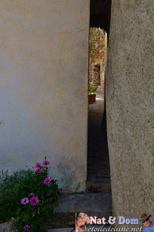 gassin-village-de-provence-6